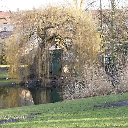 B&B Het Rommelwater Ghent Luaran gambar